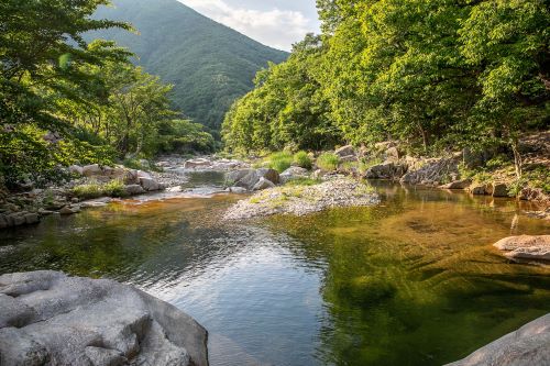 산내자연캠프_계곡
