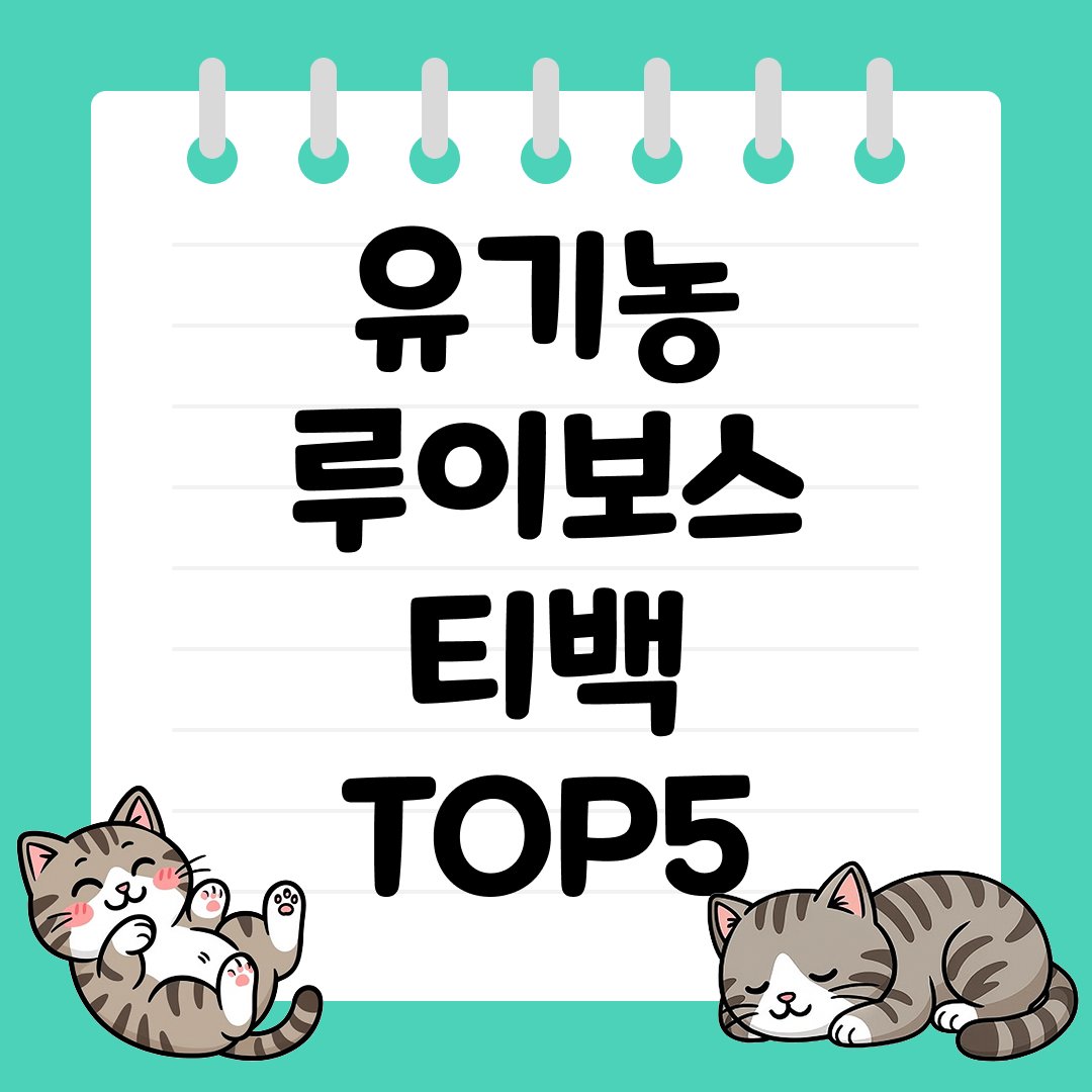 카페인 없는 건강차, 유기농 루이보스 티백 추천 TOP5