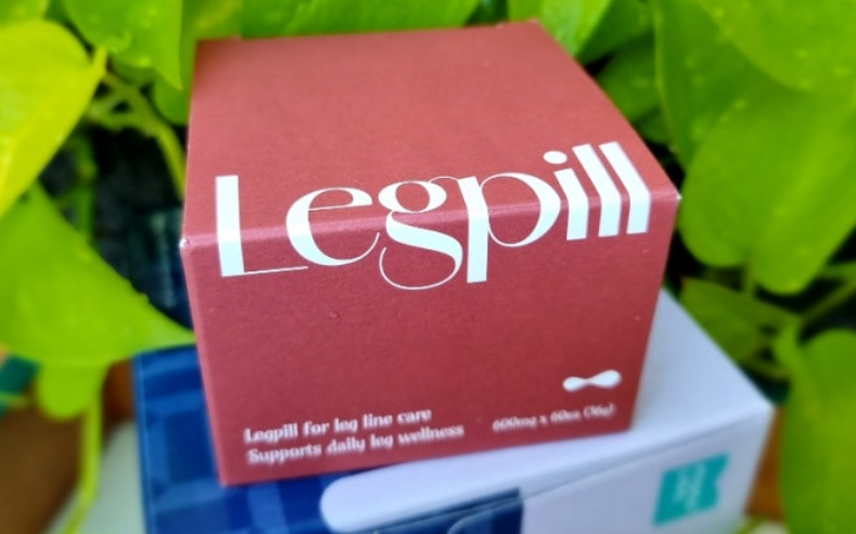 레그필 내돈내산