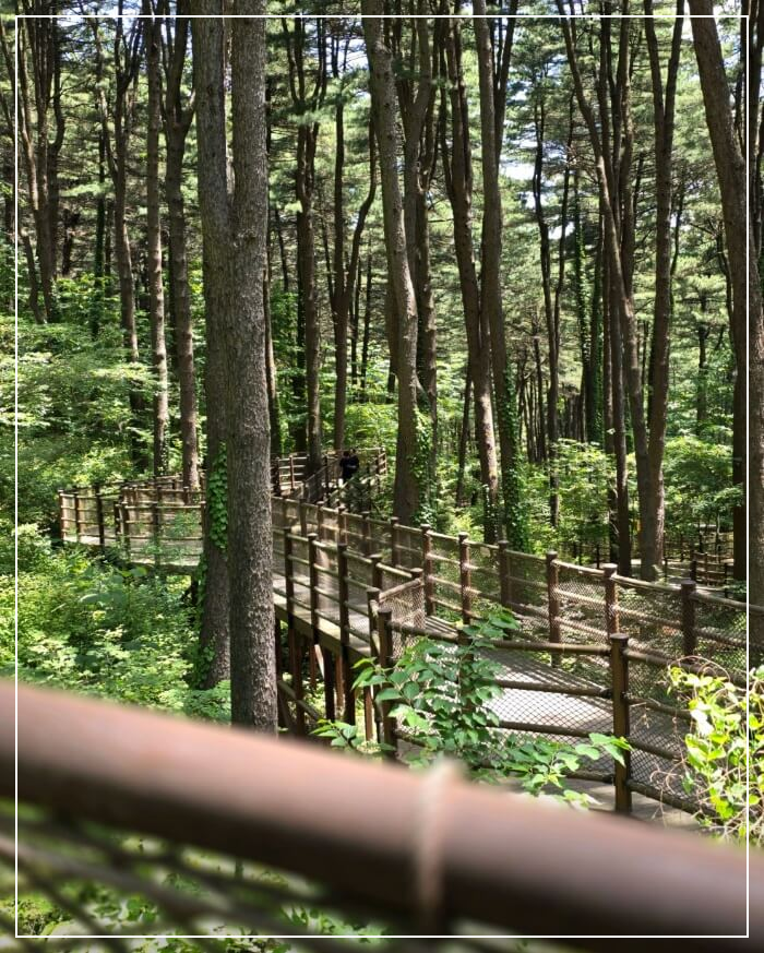 가평 가볼만한곳 베스트10 잣향기푸른숲