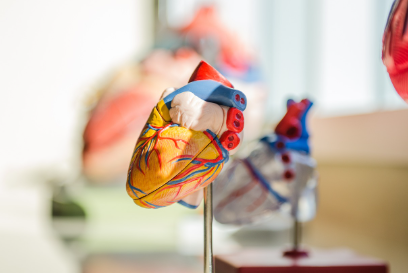 손끝이 삶을 바꾼다, 노인에게도 소근육 자극이 중요한 이유