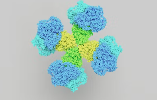 미오이노시톨 과 활성형 엽산