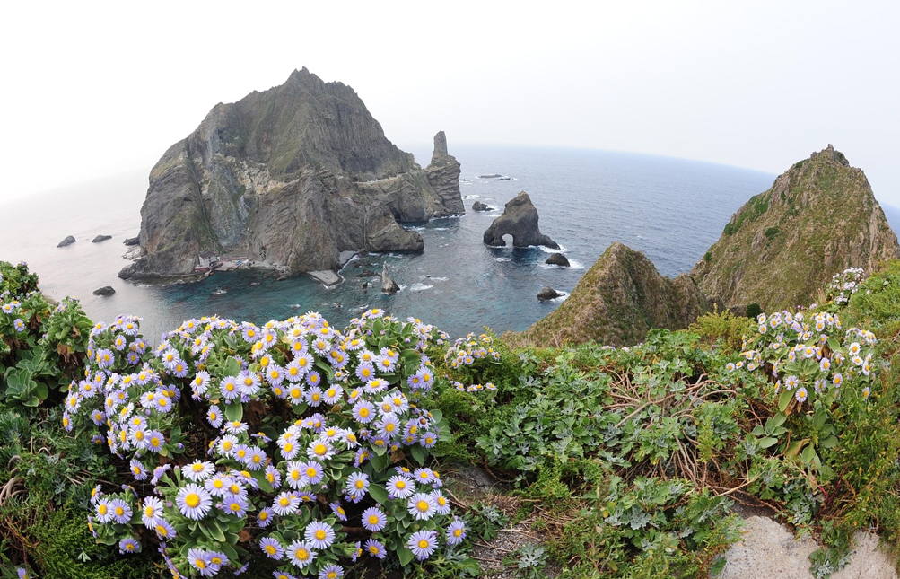 울릉도 관련사진