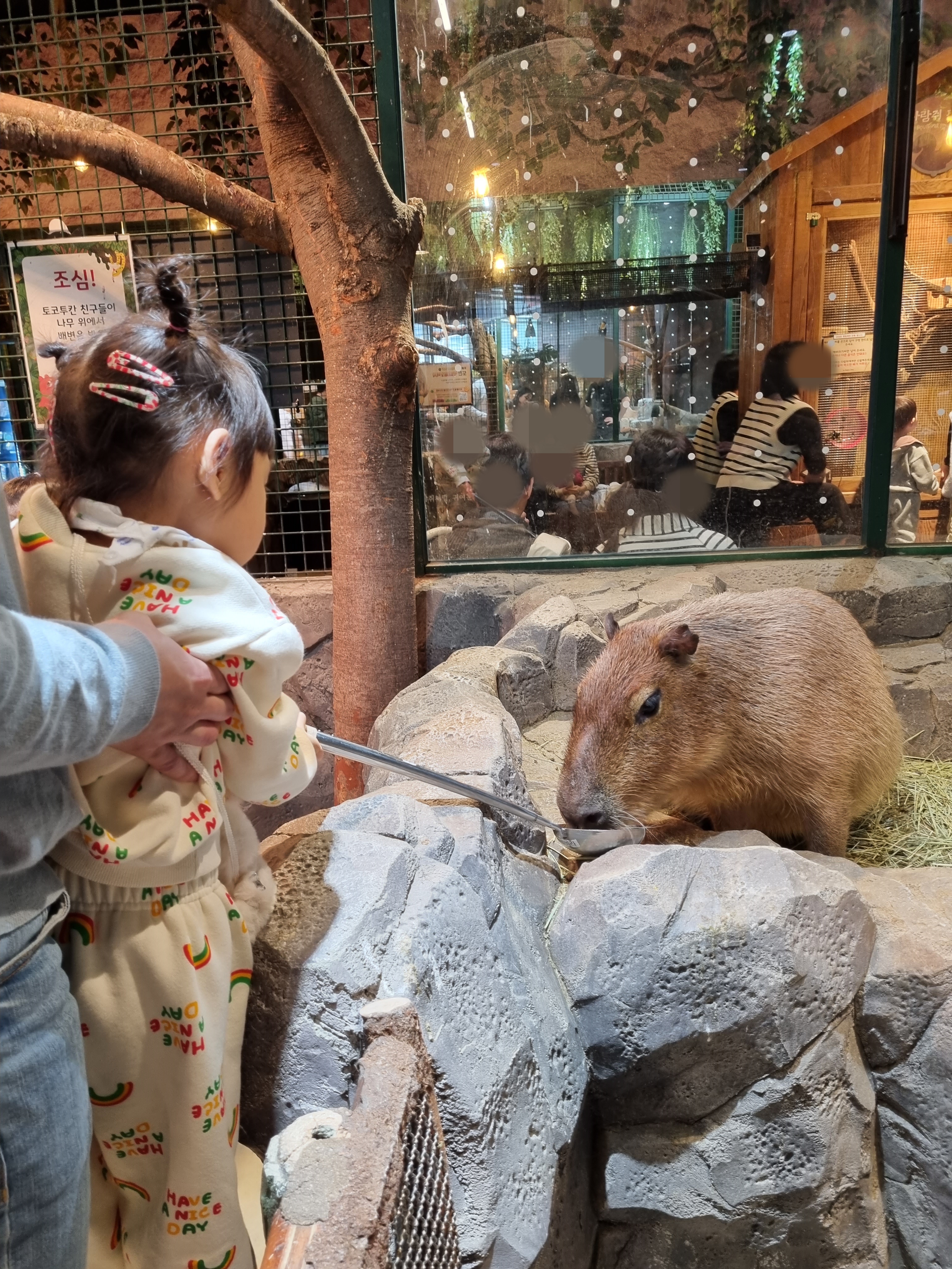 동물먹이주기