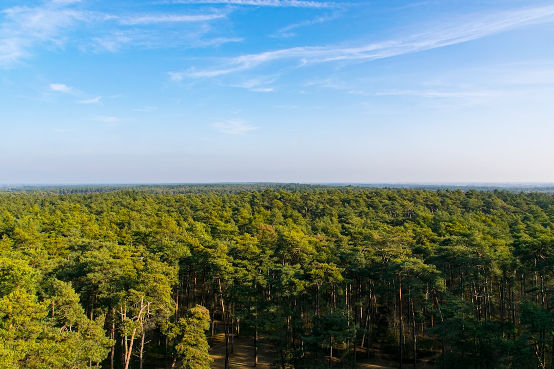 Overview
