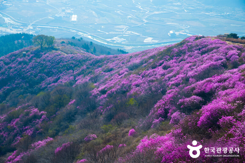 여수 영취산