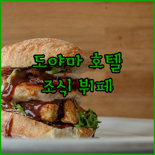 도야마 럭셔리 호텔✨ ANA 크라운 