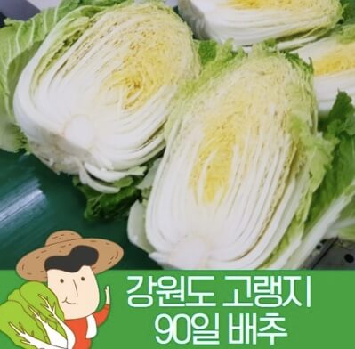 절임배추-20kg-저렴하게구매하기-해남배추-대관령배추-괴산배추