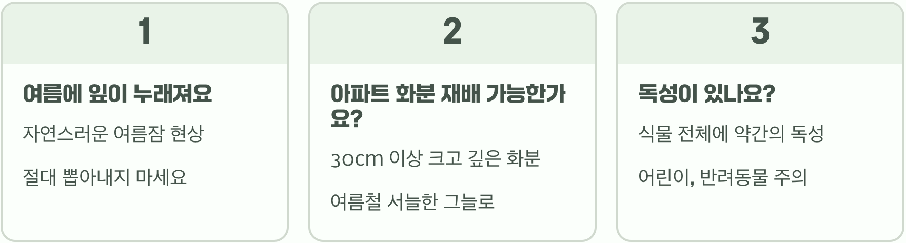초보 정원사를 위한 금낭화 키우기, 씨앗 파종부터 월동까지 A to Z