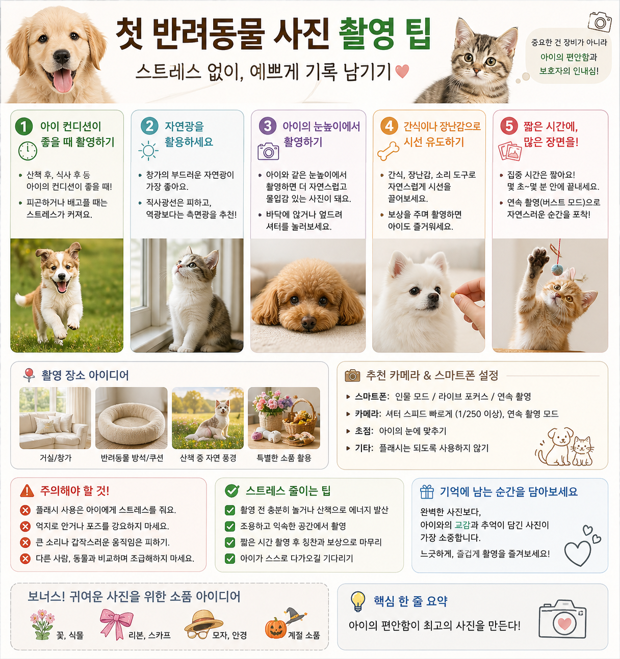 첫 반려동물 촬영 방법 설명 사진