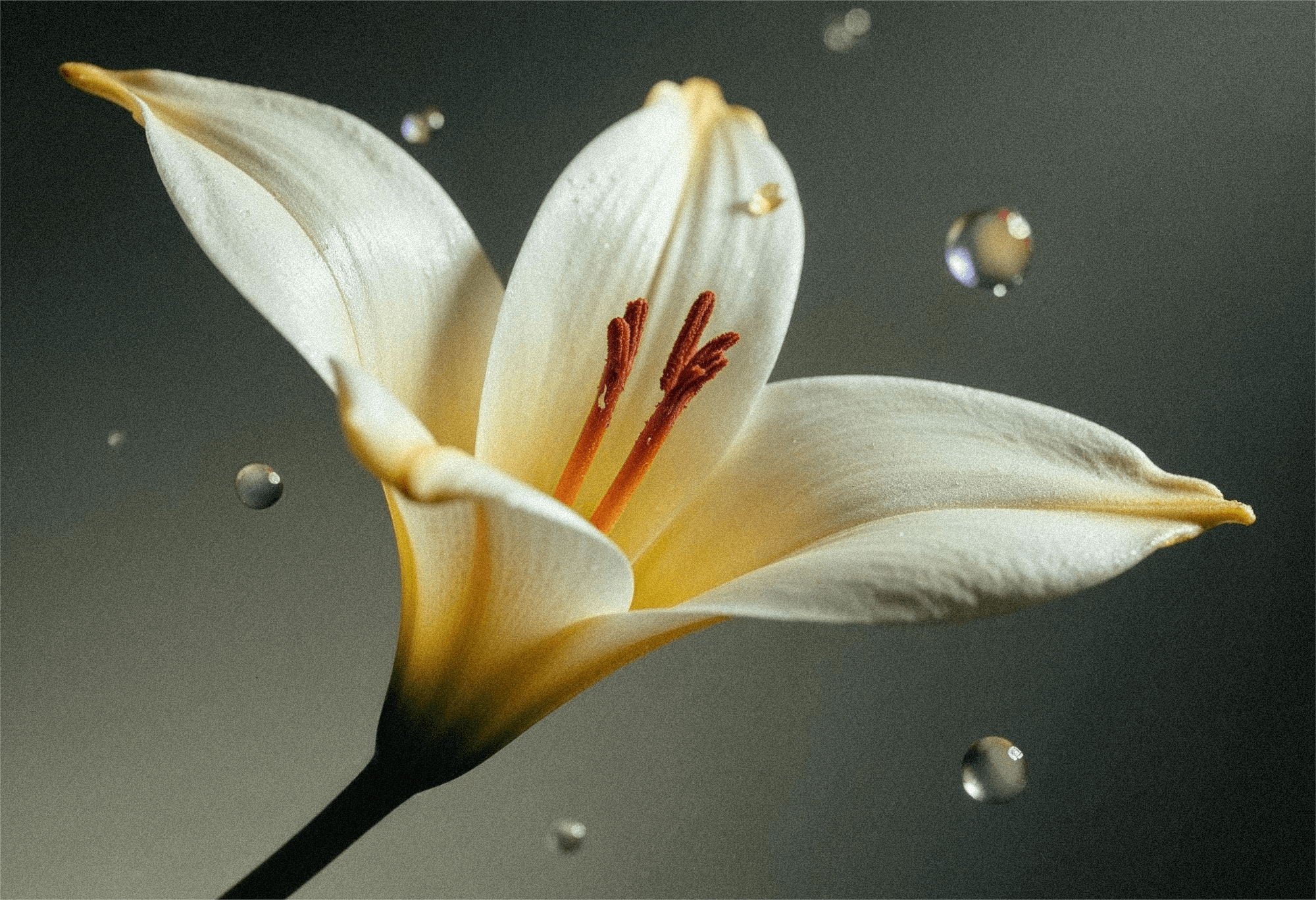 2025 연말정산 준비 체크리스트