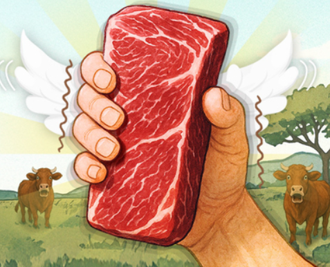 소(牛)프라이즈 2025 한우 할인행사