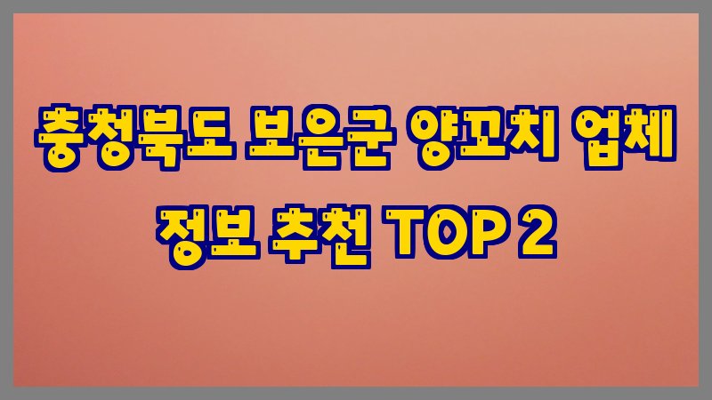 충청북도 보은군 양꼬치