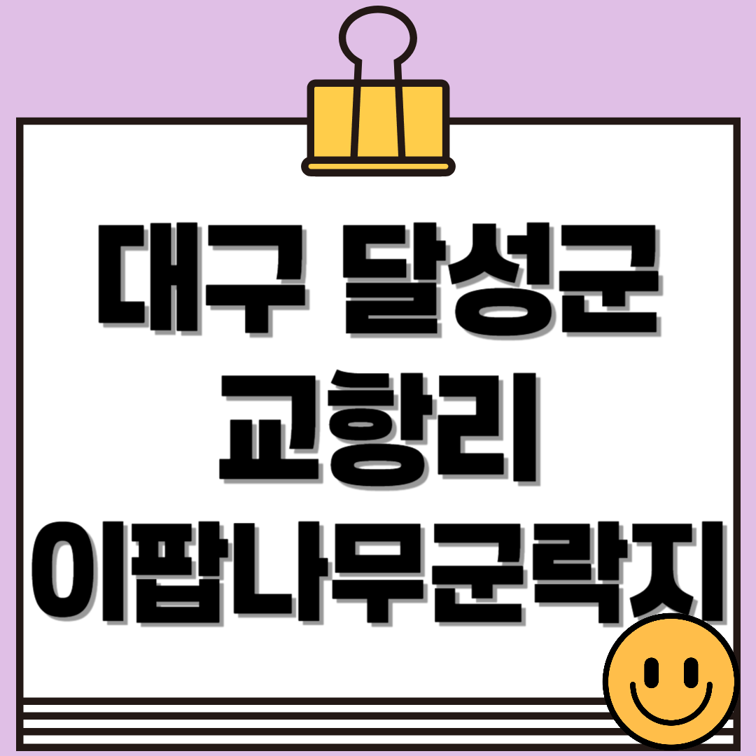 대구 달성군 교항리 이팝나무군락지 이용시간, 주차정보