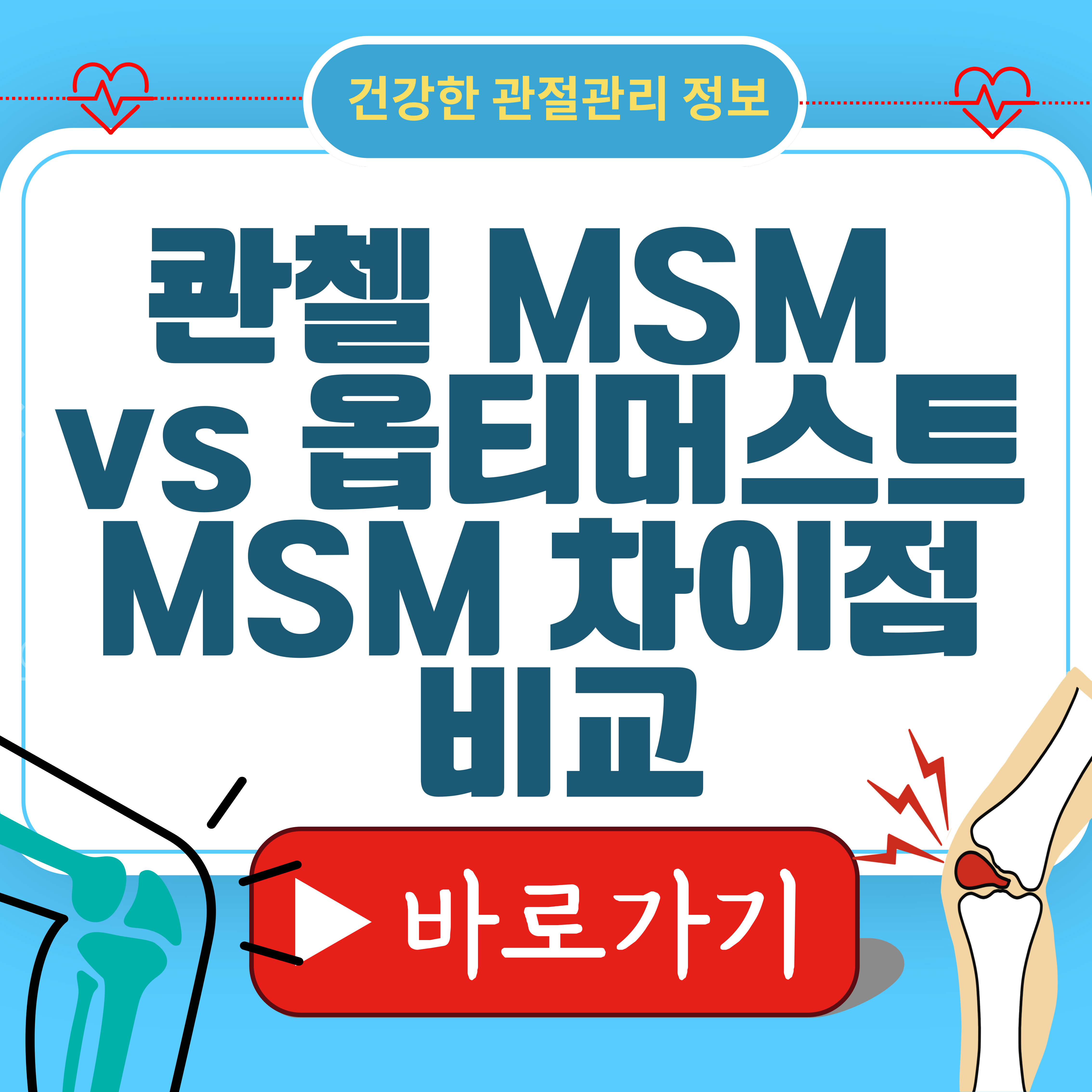 콴첼 MSM vs 옵티머스트 MSM 차이점 비교