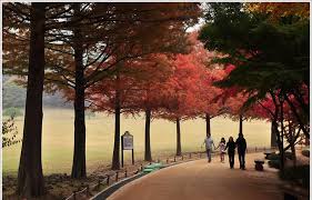 청남대 관람 예약