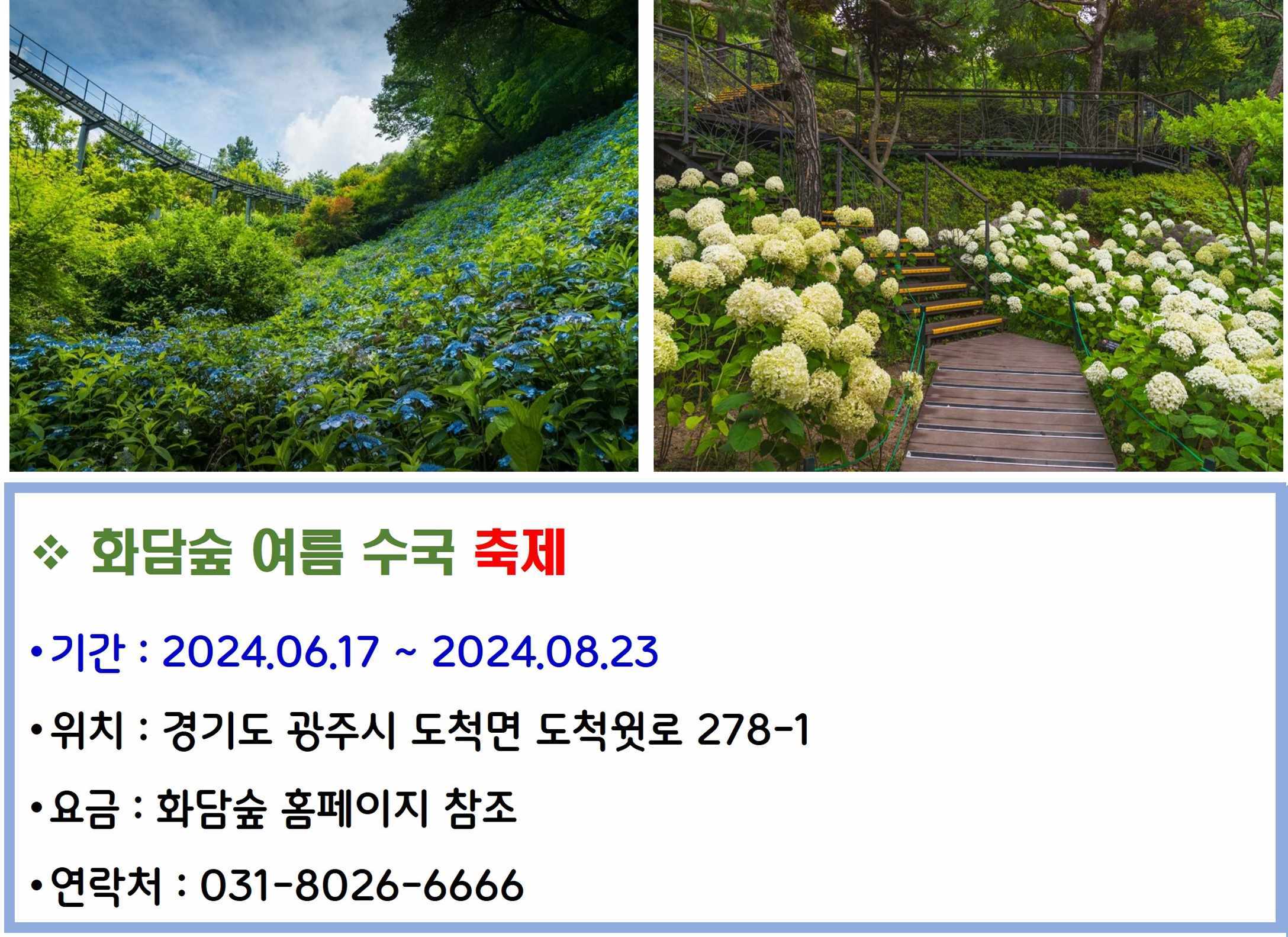 화담숲 여름수국 축제