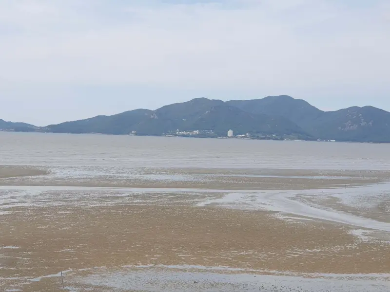 고창 만돌갯벌체험장