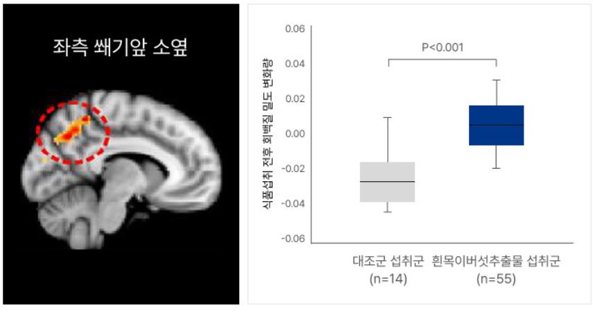 흰목이버섯 효소분해추출물의 특징,효능, 제품추천