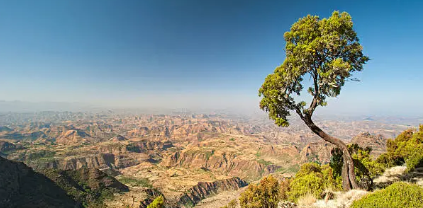 에티오피아 여성 혼자 여행