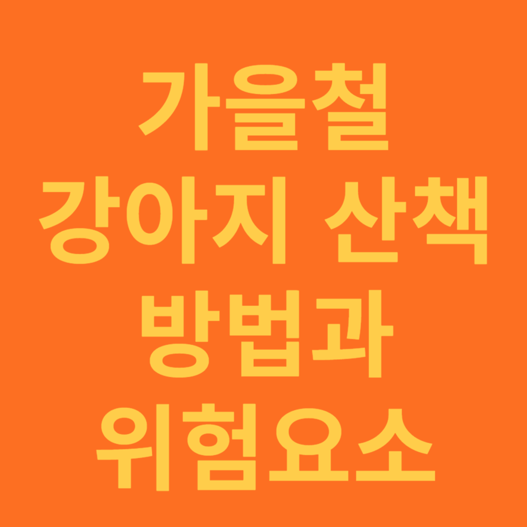 강아지 산책 방법과 위험 요소