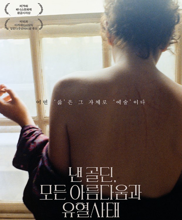 낸 골딘, 모든 아름다움