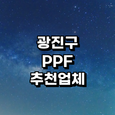 서울 광진구 ppf
