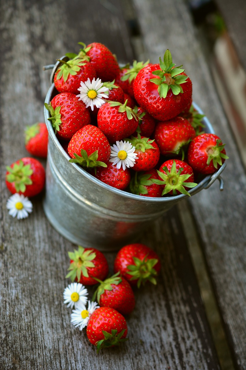 🍓 2025년 논산딸기축제 일정 + 가수 라인업 + 주차 정보 총정리