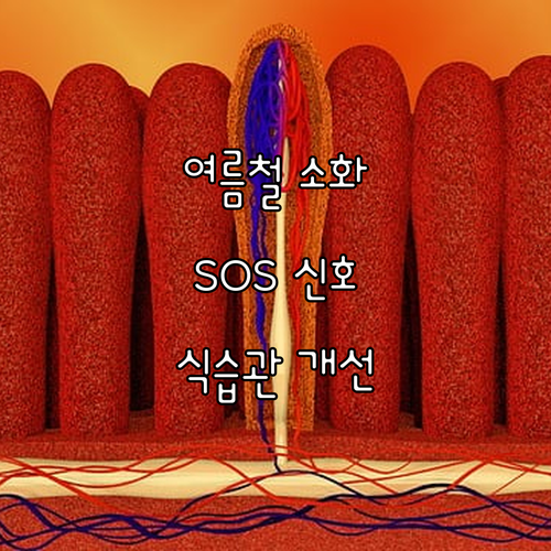 여름철 소화 SOS: 원인과 해결책,..