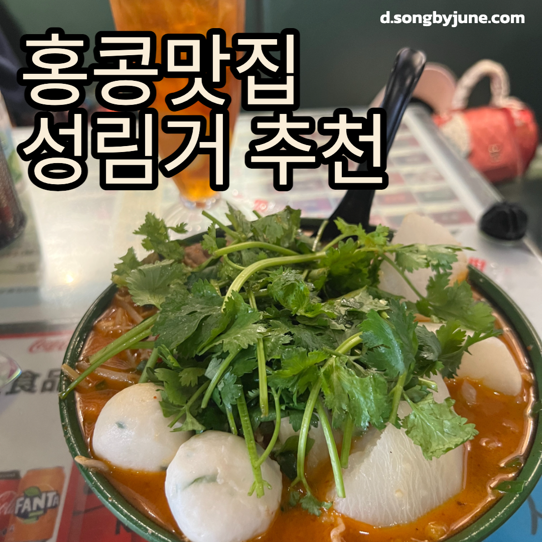 [홍콩] 맛집 운남면 성림거 맛조합 추천 후기