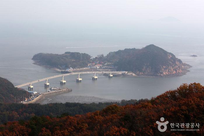 인천 가볼만한곳 소무의도