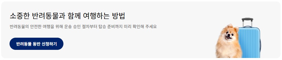 대한항공 반려동물 동반 좌석 신청방법