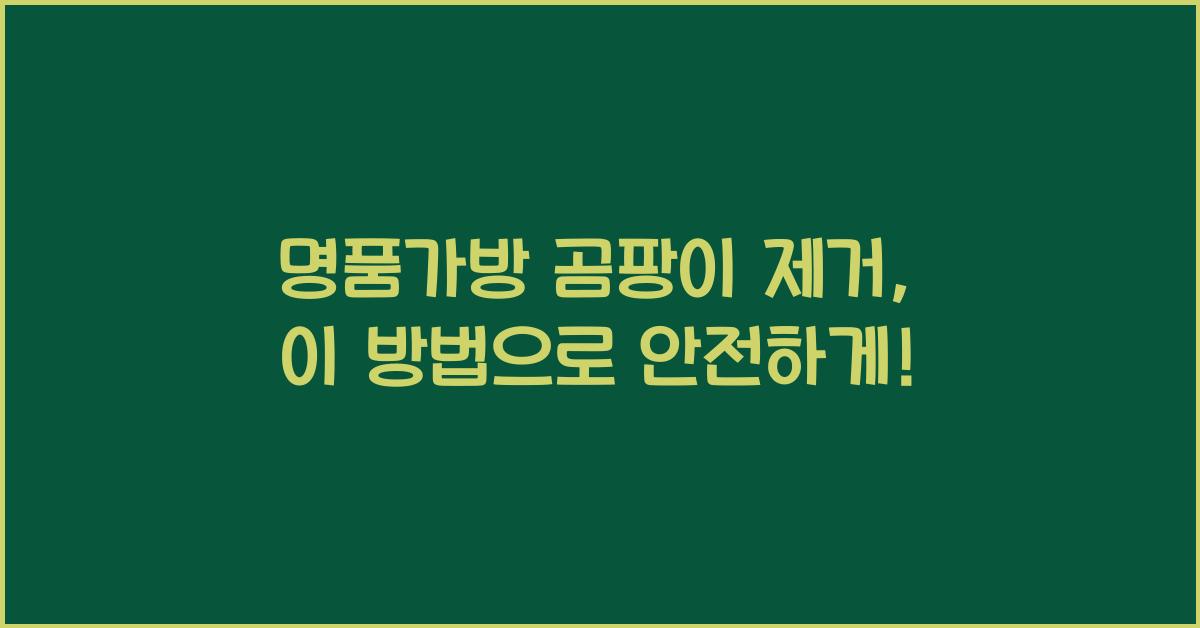 명품가방 곰팡이 제거