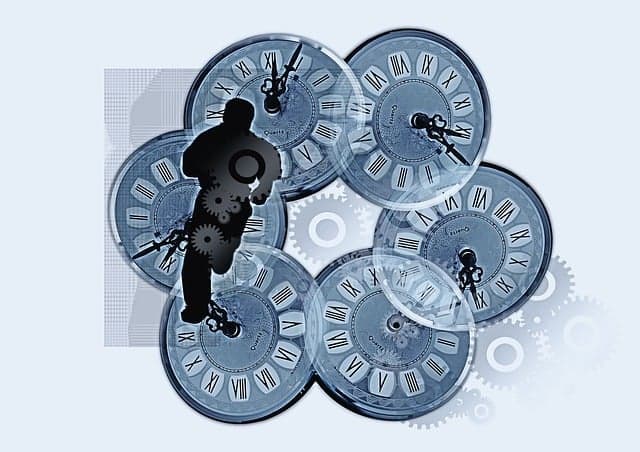 시간여행자 유익입니다.