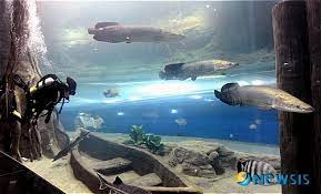 대전 가볼 만한 곳