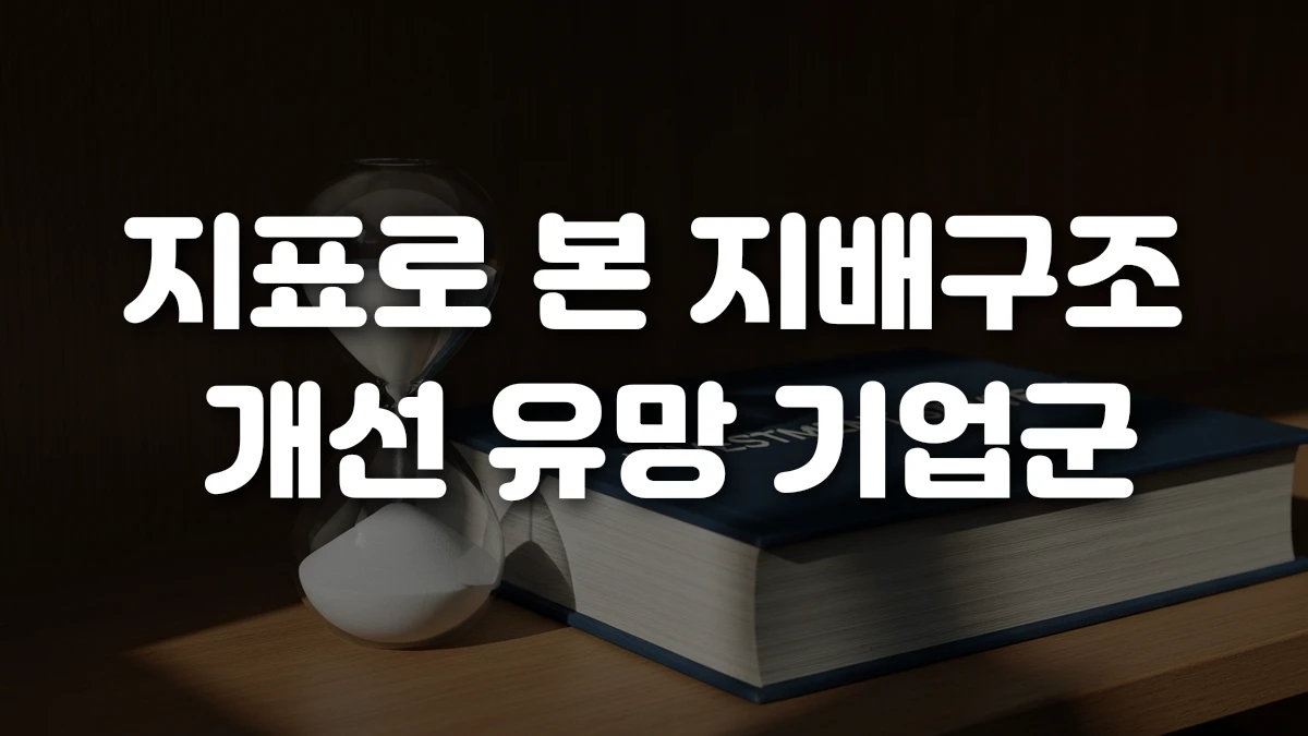 지표로 본 지배구조 개선 유망 기업군