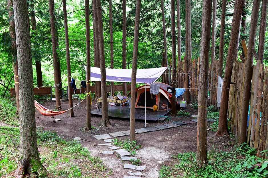 편백힐 치유의 숲