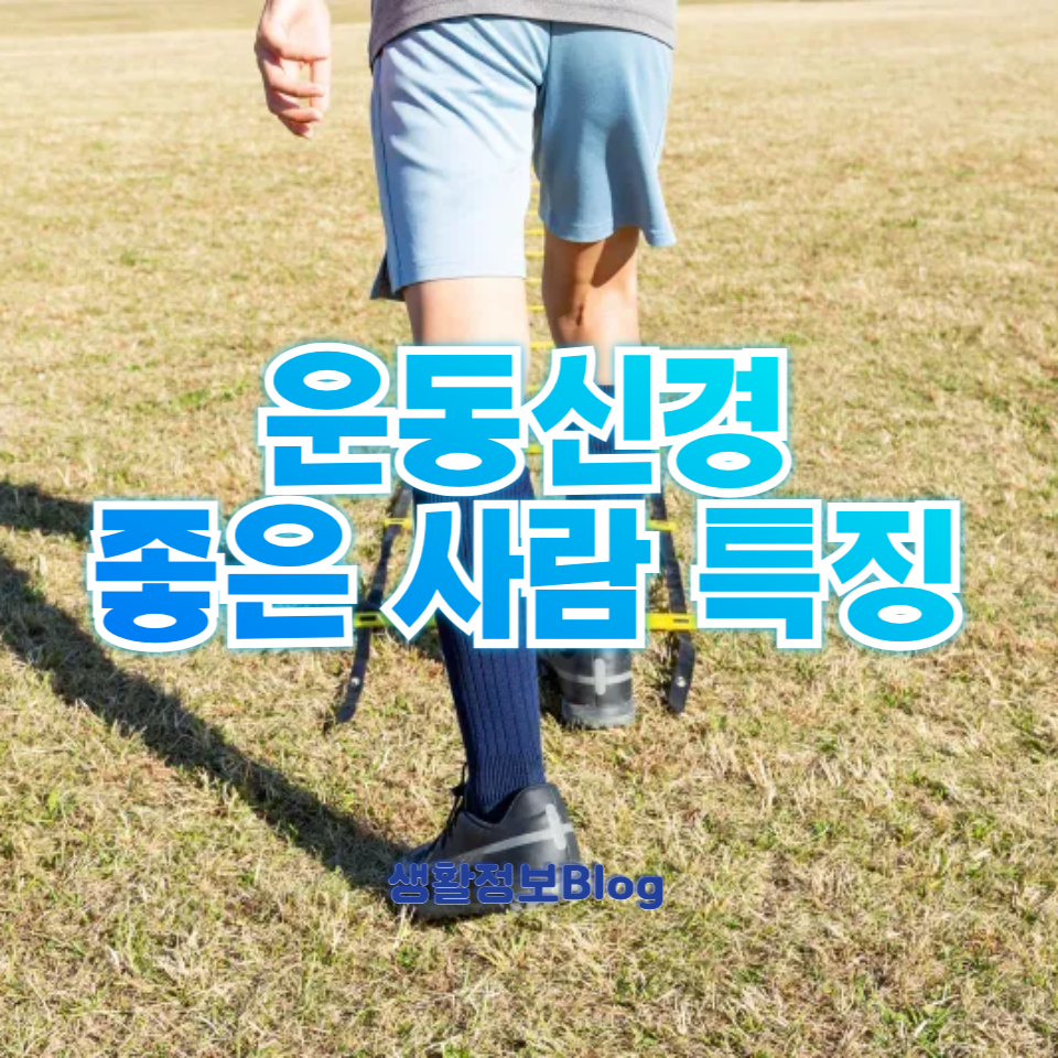 운동신경 좋은 사람 특징