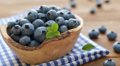 블루베리이미지