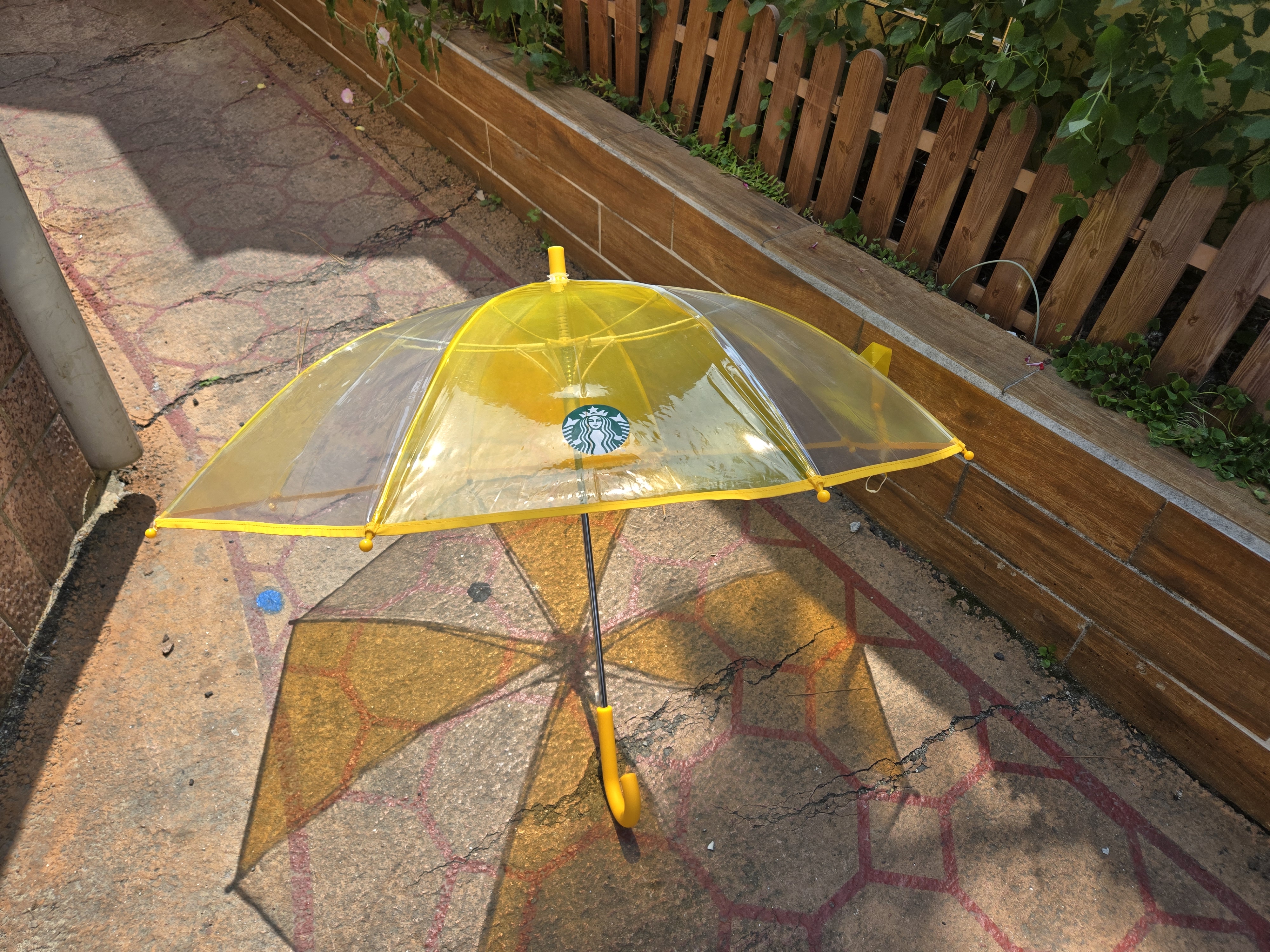 2025 스타벅스 레이니 데이 리차지 투명우산 옐로우