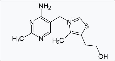 티아민(비타민B1) 분자구조