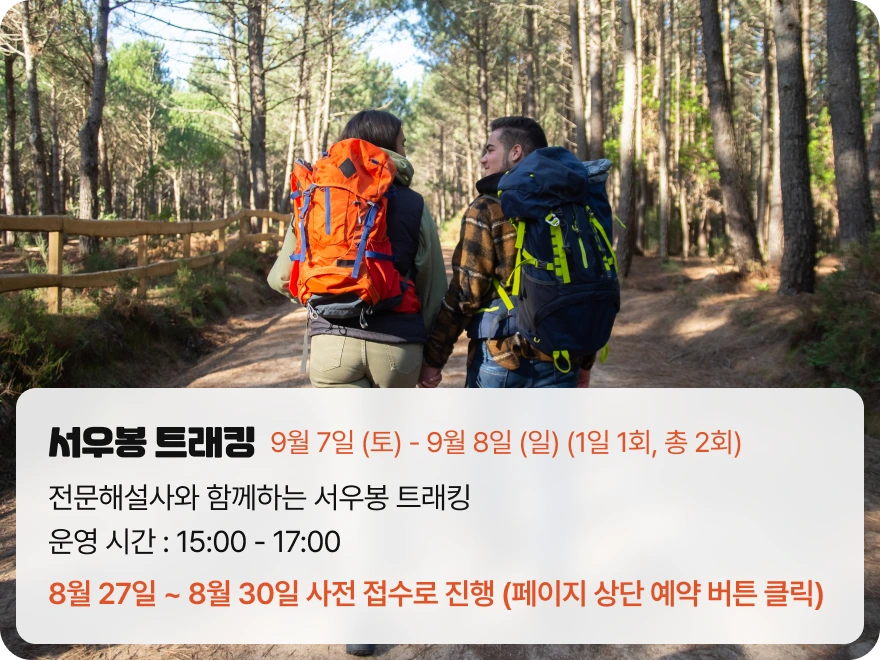 2024 제주레저 힐링축제 일정과 프로그램 안내