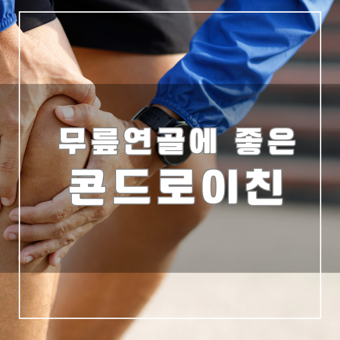 콘드로이친