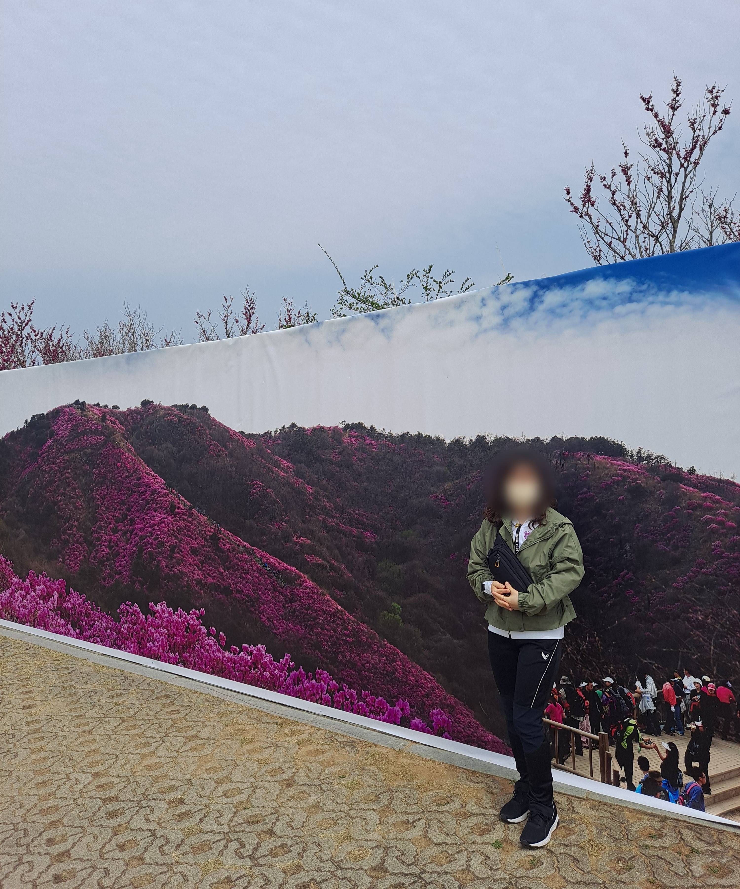 고인돌 진달래 포토존