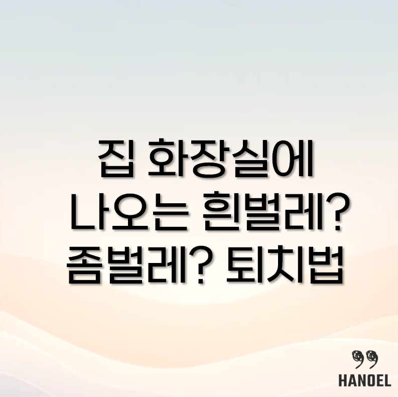좀벌레