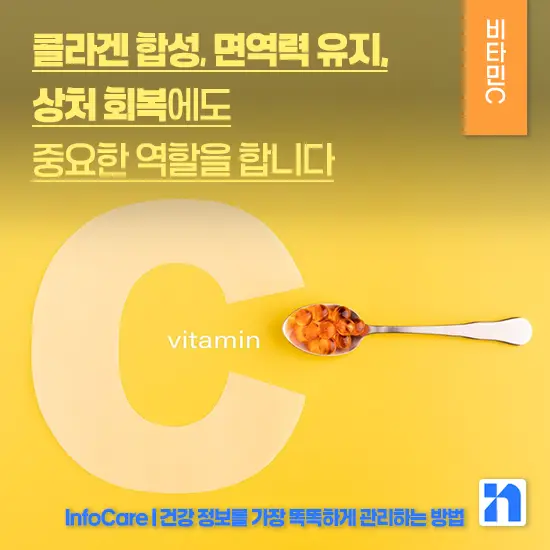 비타민 C 효능