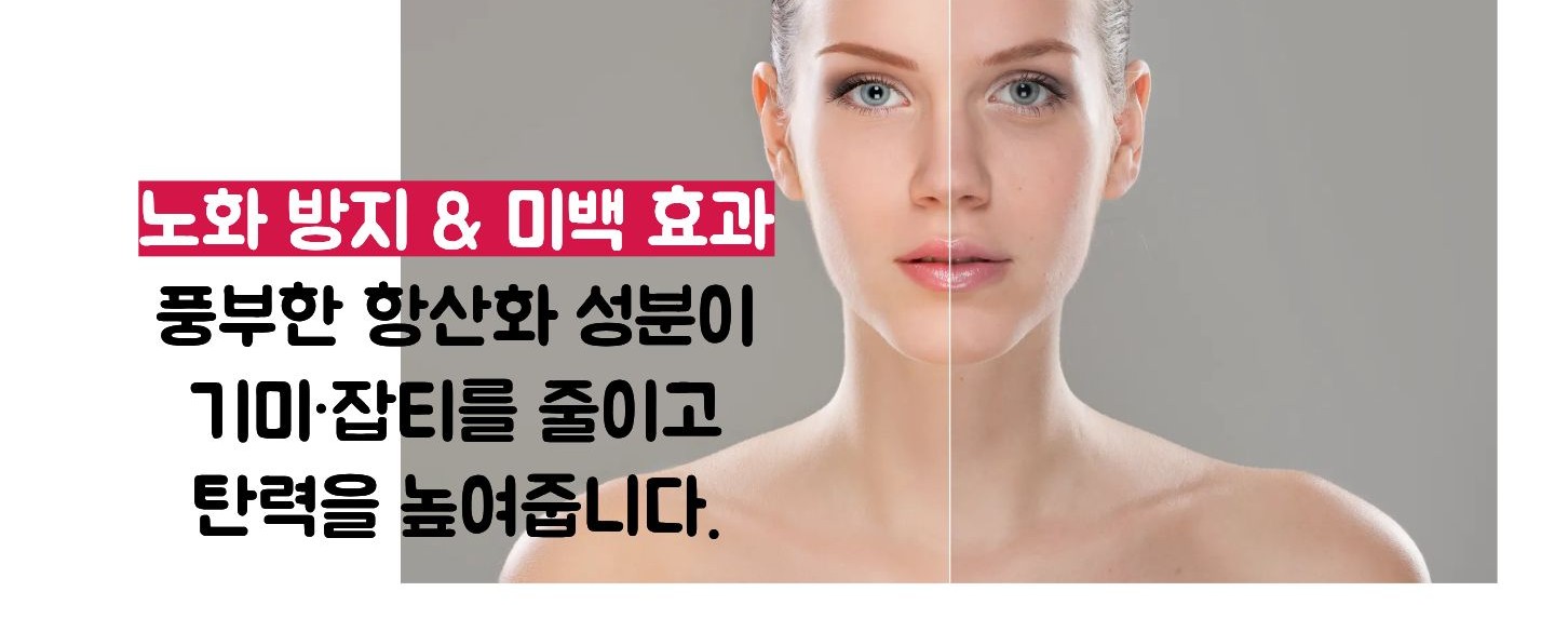 비트 효능