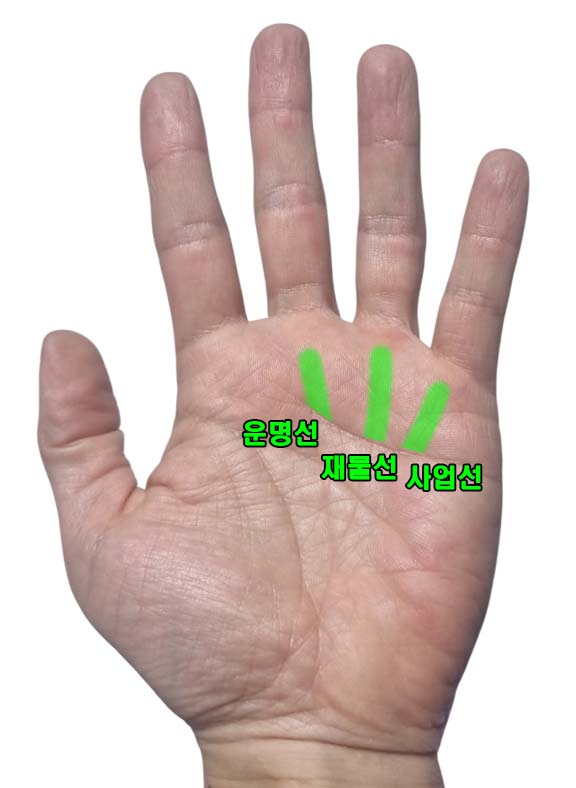 부자들 손금의 공통점? 돈을 만지는 손금(M자, 삼지창, 막쥔금, 재물선, 사업선)
