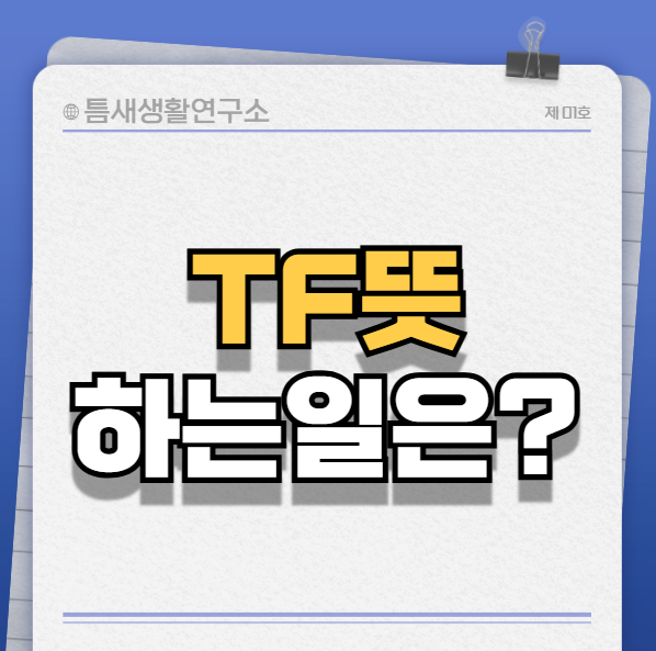 TF뜻-썸네일