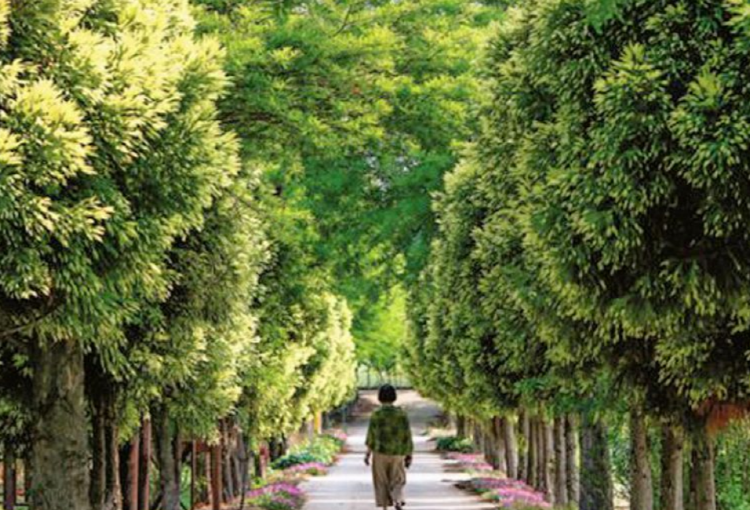 태안 청산수목원